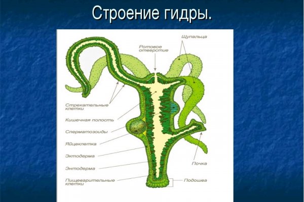 Украли аккаунт кракен